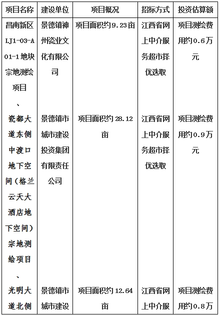 景德鎮(zhèn)市昌南新區(qū)LJ1-03-A01-1地塊、瓷都大道東側(cè)中渡口地下空間（格蘭云天大酒店地下空間）、光明大道北側(cè)利民路西側(cè)地下空間（青少年宮地下空間）、規(guī)劃二路北側(cè)地下空間地塊二（加速基地地下空間）、規(guī)劃二路北側(cè)地下空間地塊一（加速基地地下空間）、景德大道南側(cè)天寶橋西側(cè)地塊、景興大道東側(cè)如意路北側(cè)地下空間(社會公共服務(wù)