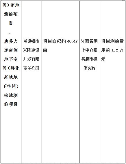 景德鎮(zhèn)市昌南新區(qū)LJ1-03-A01-1地塊、瓷都大道東側(cè)中渡口地下空間（格蘭云天大酒店地下空間）、光明大道北側(cè)利民路西側(cè)地下空間（青少年宮地下空間）、規(guī)劃二路北側(cè)地下空間地塊二（加速基地地下空間）、規(guī)劃二路北側(cè)地下空間地塊一（加速基地地下空間）、景德大道南側(cè)天寶橋西側(cè)地塊、景興大道東側(cè)如意路北側(cè)地下空間(社會公共服務(wù)