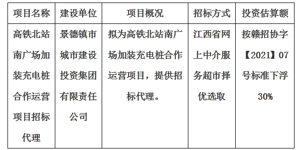 高鐵北站南廣場加裝充電樁合作運(yùn)營項(xiàng)目招標(biāo)代理計(jì)劃公告