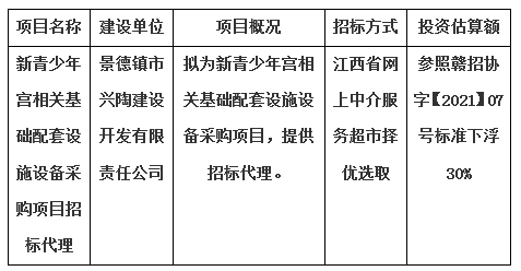 新青少年宮相關(guān)基礎(chǔ)配套設(shè)施設(shè)備采購項目招標代理計劃公告